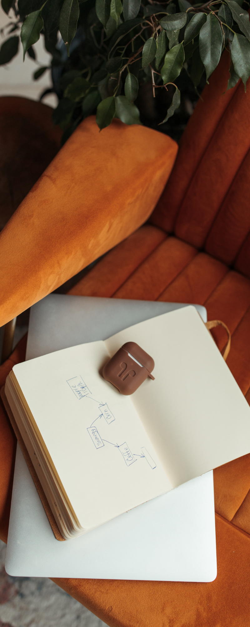 Untitled design (20)